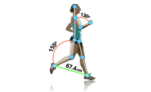 Body segmentation.